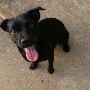 Meet your Posher, Corey